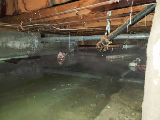 Best Emergency water damage restoration  in Mountain Park, GA