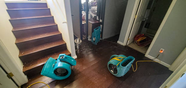 Best Water damage restoration insurance claims  in Mountain Park, GA