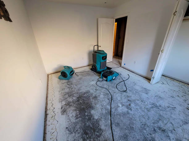 Best Water damage contractors near me  in Mountain Park, GA
