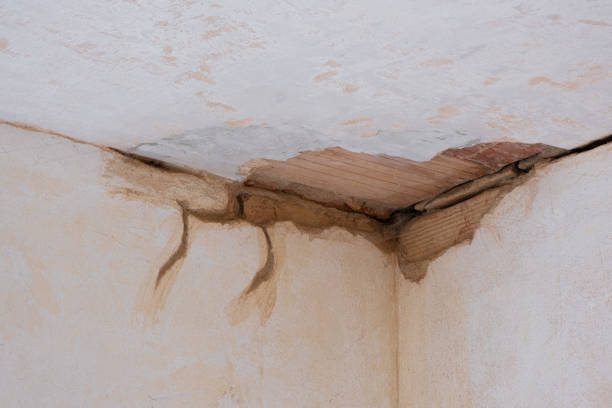  Mountain Park, GA Water damage restoration Pros