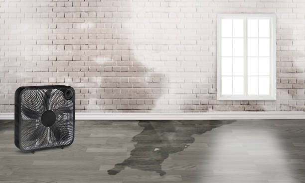 Best Flood damage cleanup  in Mountain Park, GA